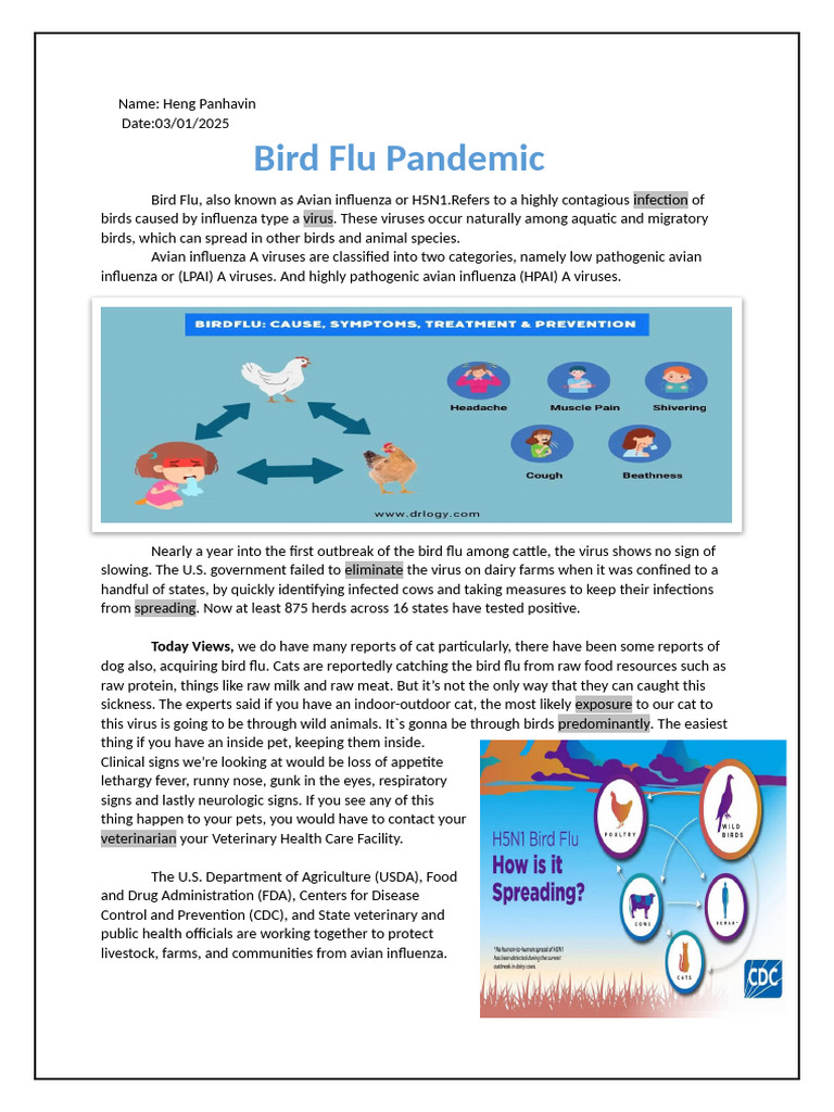 english | PDF | Influenza A Virus Subtype H5 N1 | Influenza