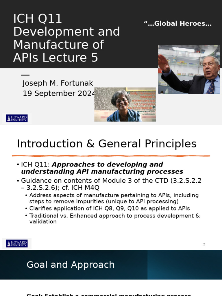 ICH Q11 API Development Insights | PDF | Chemical Substances | Physical ...