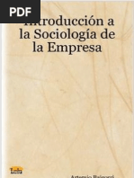 T2 Fragmento Sociologia de la Empresa