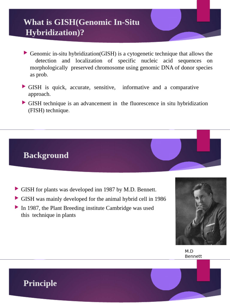 Understanding GISH Technique in Genomics | PDF
