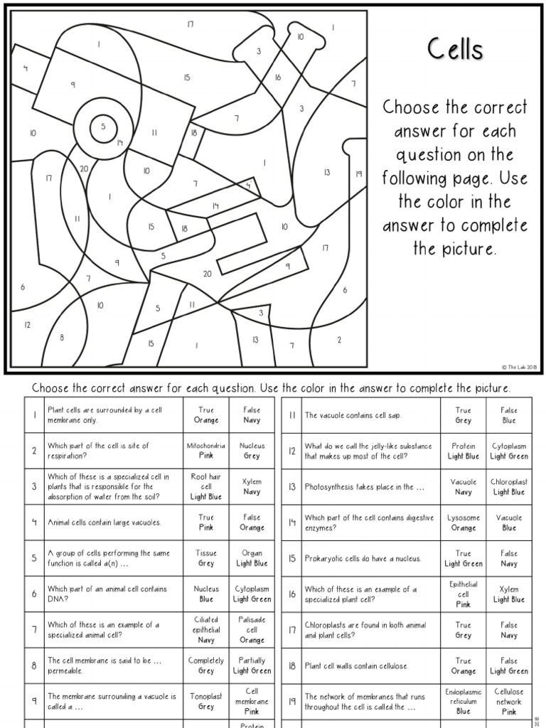 Cells Coloring Activity | PDF