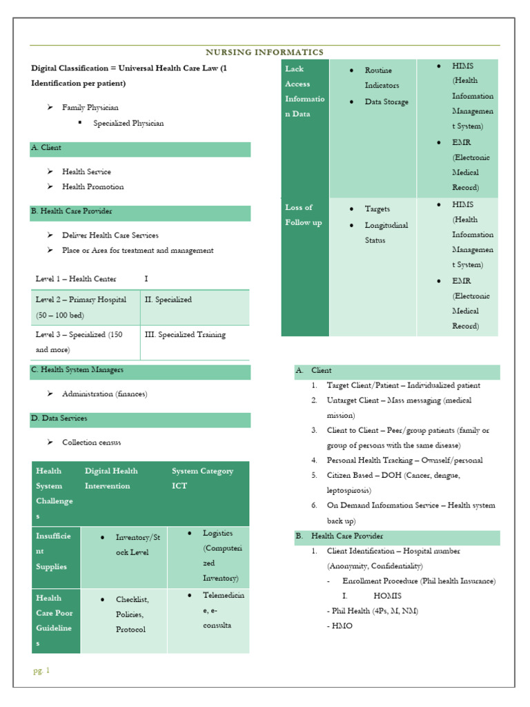 Nursing Informatics and Critical Care Systems | PDF | Medical Error ...