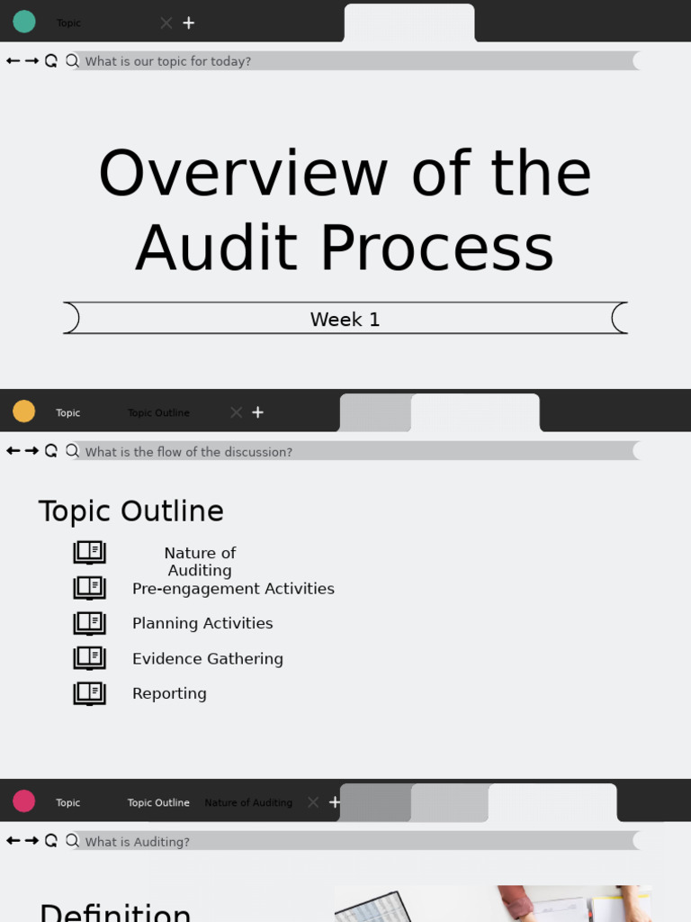 ExtAud 2 1 Overview of The Audit Process | PDF | Internal Control | Audit