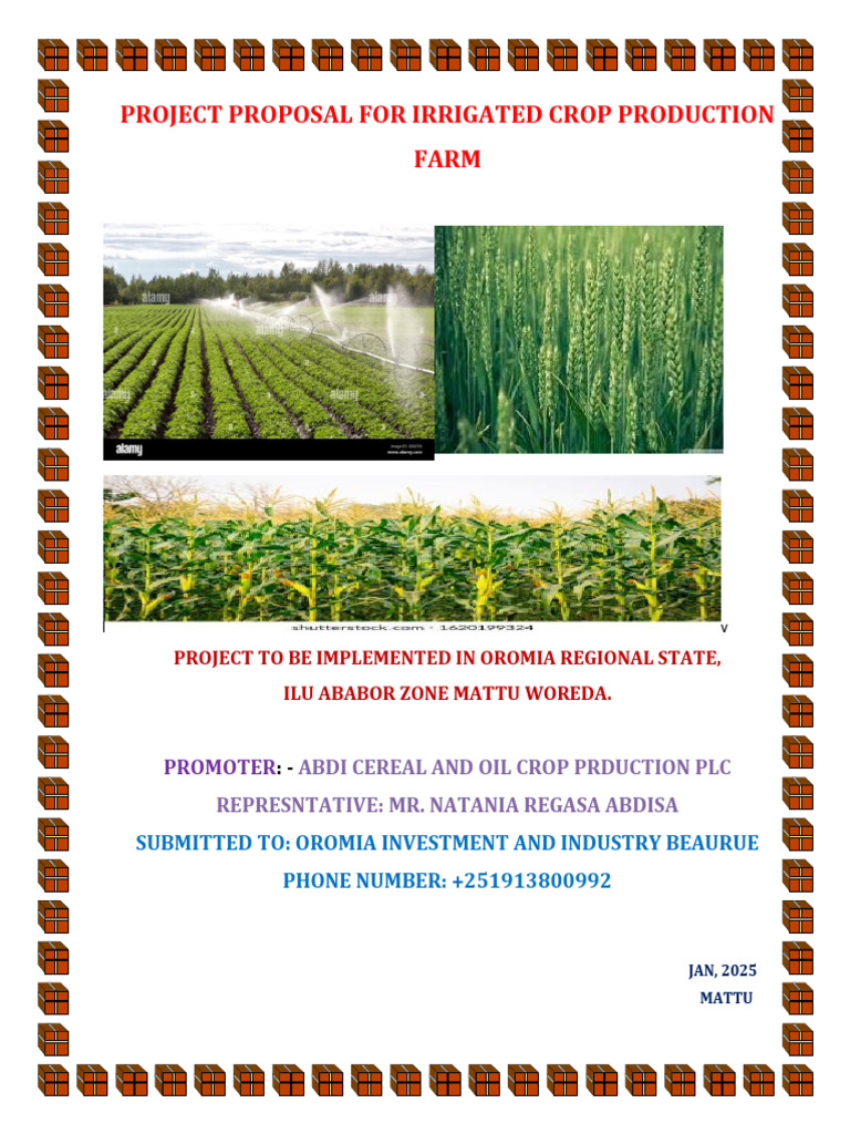 Irrigated Crop Production Proposal | PDF | Agriculture | Soil