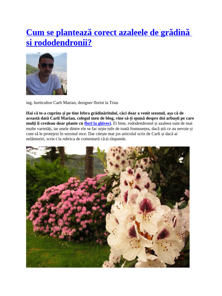 Rododendron de Gradina | PDF