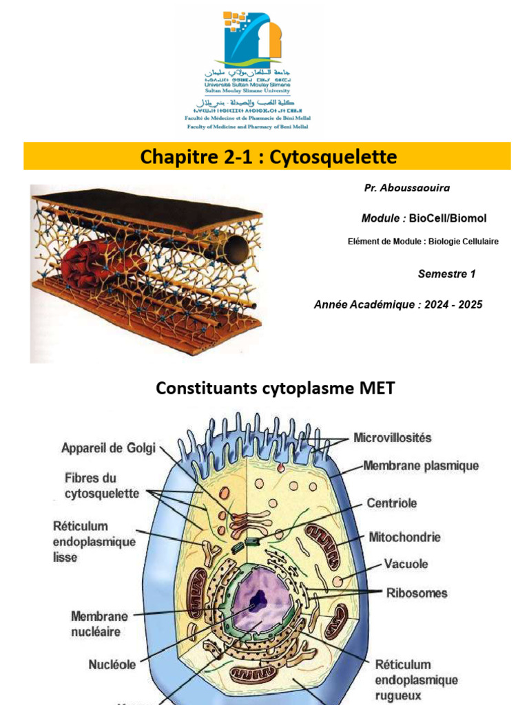 Rôle et Structure du Cytosquelette | PDF | Cytosquelette | Cellule ...