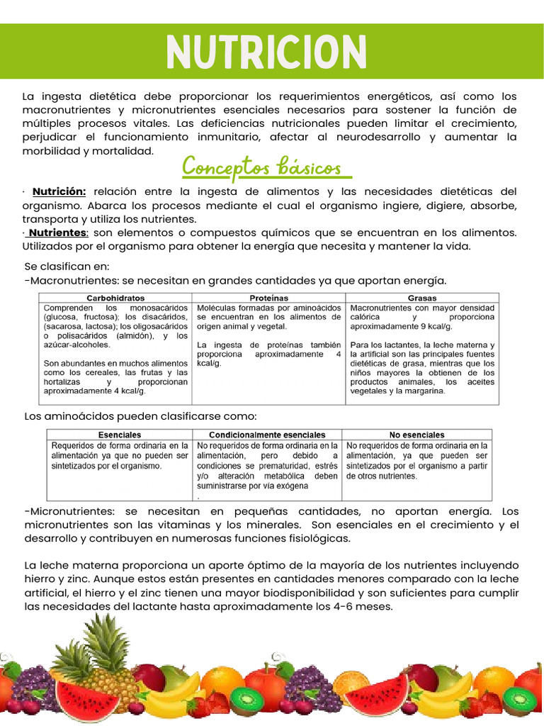 Guía Completa sobre Nutrición Infantil | PDF | Nutrición | Dieta y ...