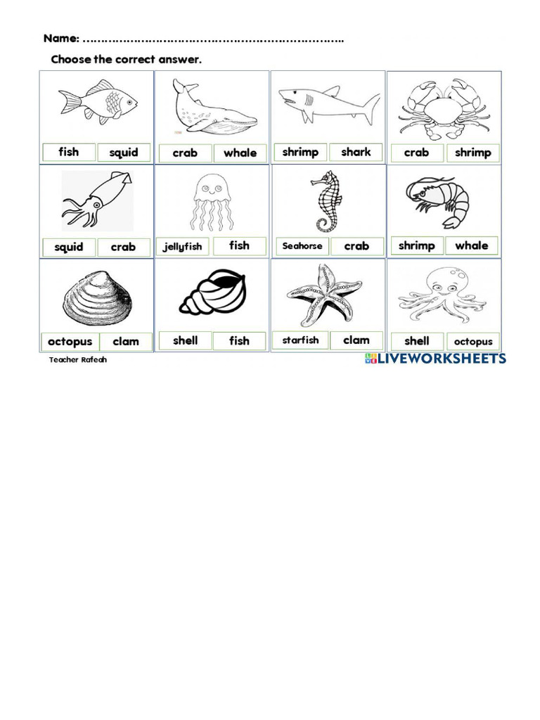 Sea Animals | PDF