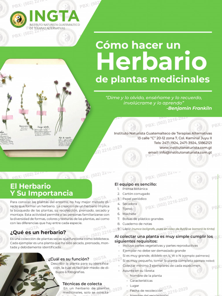 c-mo-hacer-un-herbario-casero