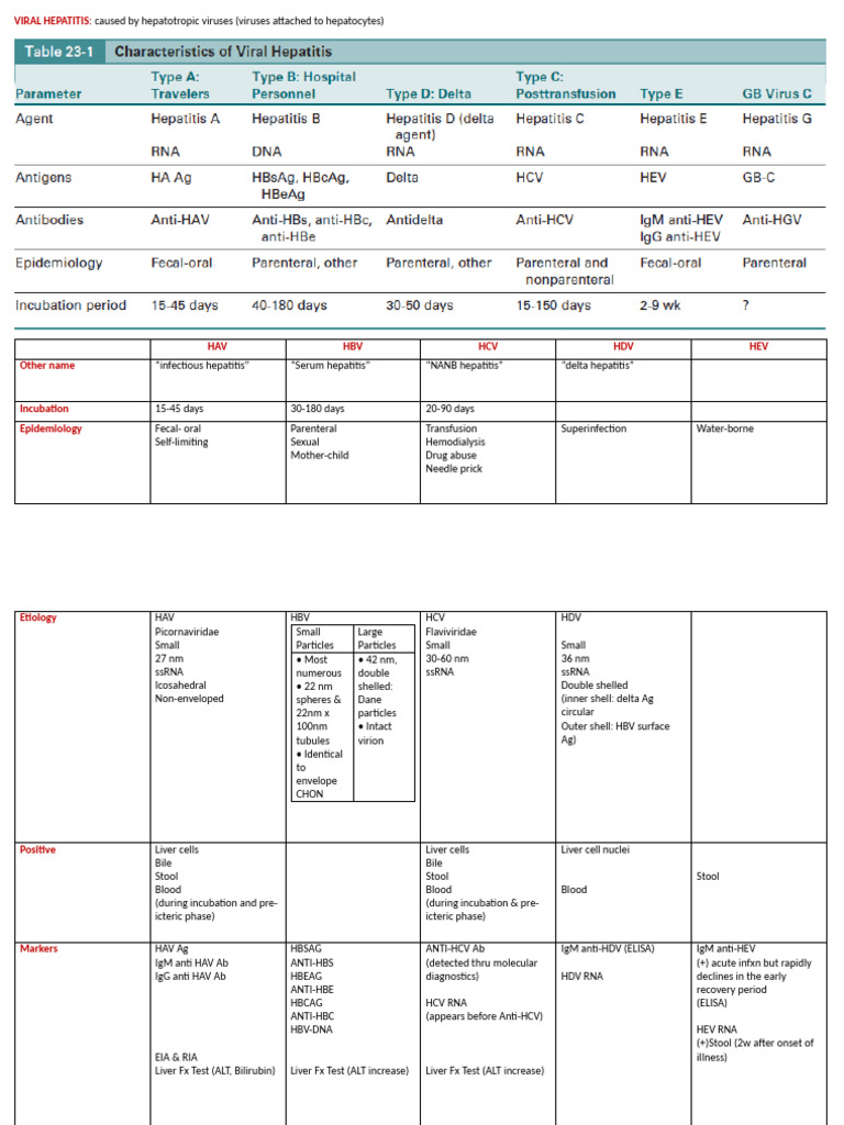 Understanding Viral Hepatitis Types and Testing | PDF | Hepatitis B ...