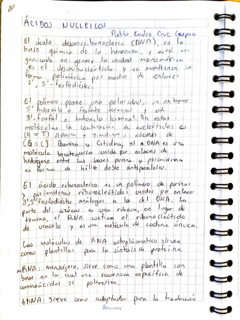 Adobe Scan 11 Nov 2024 | PDF