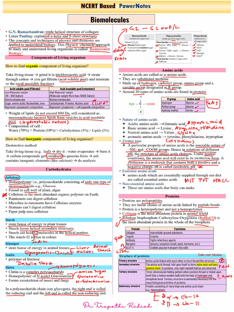 Power Notes Biomolecules Tirupathi Revised | PDF