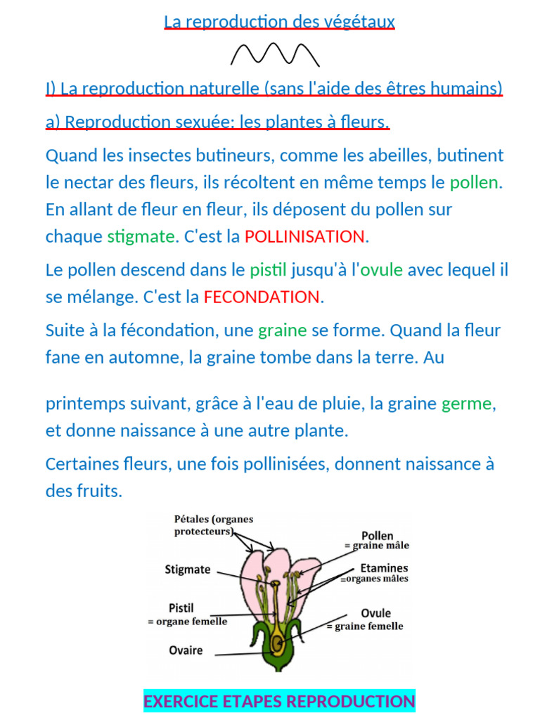 Reproduction des Végétaux: Sexuée et Asexuée | PDF