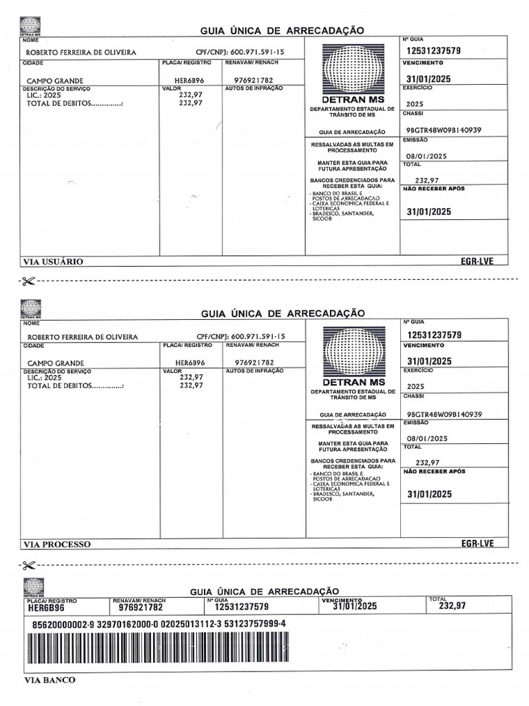 Guia | PDF