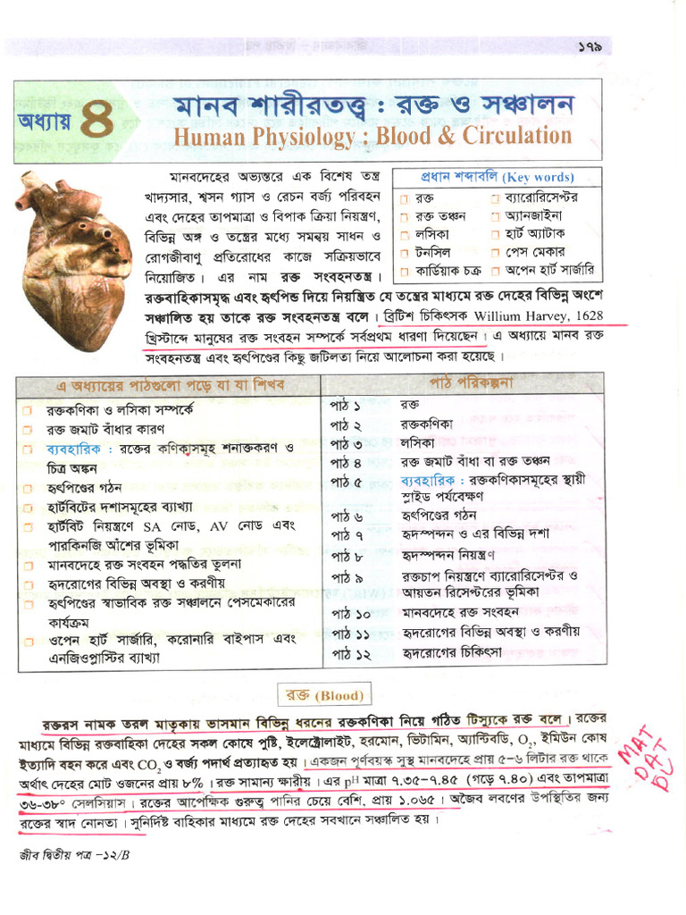 Biology 2nd Chapter 4 | PDF