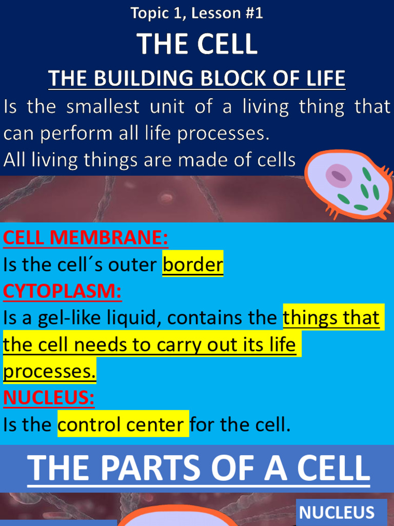 Topic 1 lesson 1 the building blocks of life pdf
