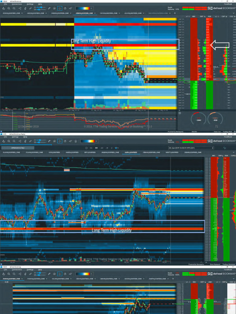 Bookmap Masterclass - 71 80 | PDF | Financial Markets | Market (Economics)
