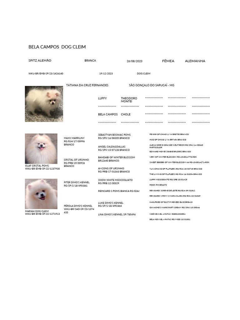 German Spitz Dog Claim Details | PDF