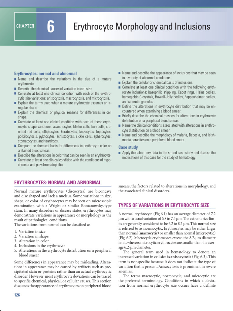 Erythrocyte Variations and Disorders | PDF | Anemia | Red Blood Cell