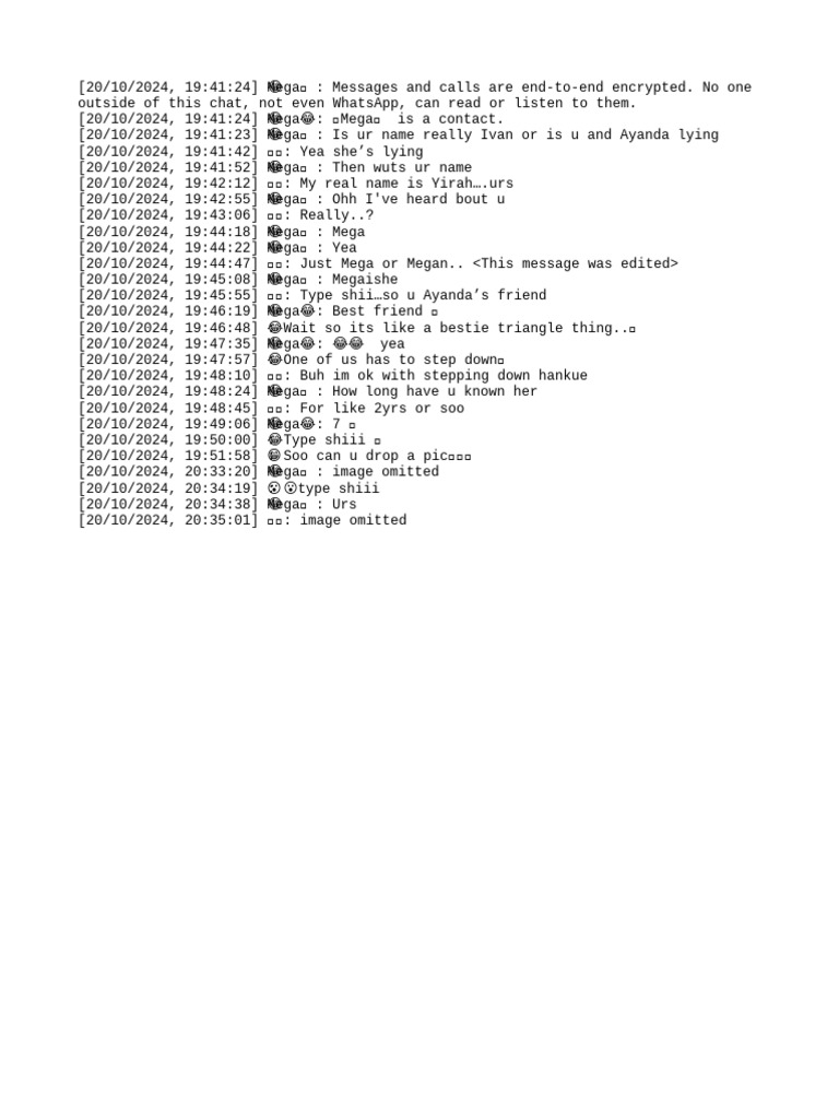 Encrypted Chat Conversation Insights | PDF