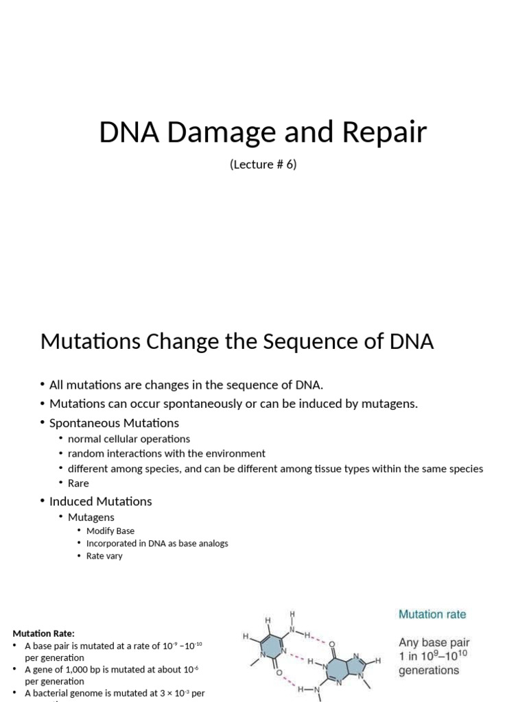 DNA Damage Mechanisms and Repair | PDF | Dna Repair | Dna