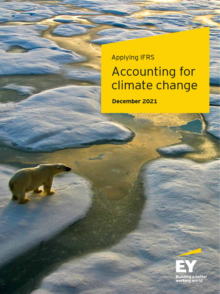 IFRS Guidelines for Climate Change Accounting | PDF | Going Concern ...