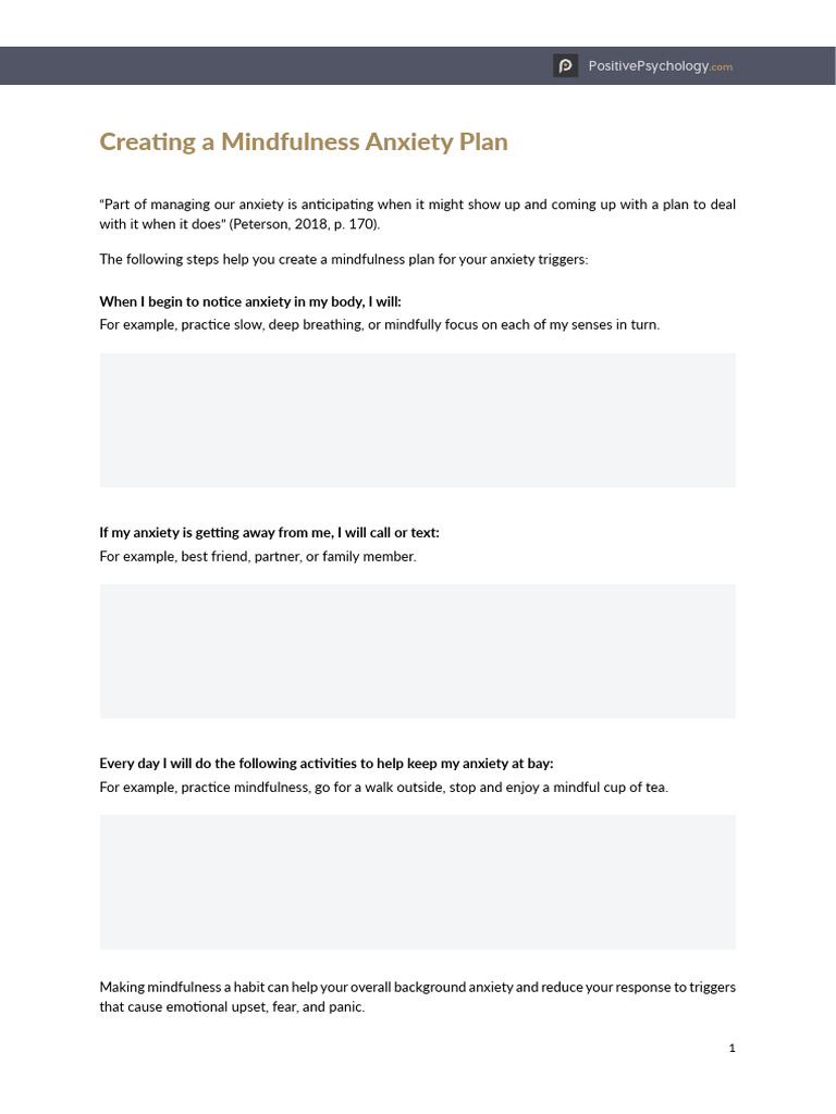 Mindfulness Plan for Anxiety Management | PDF