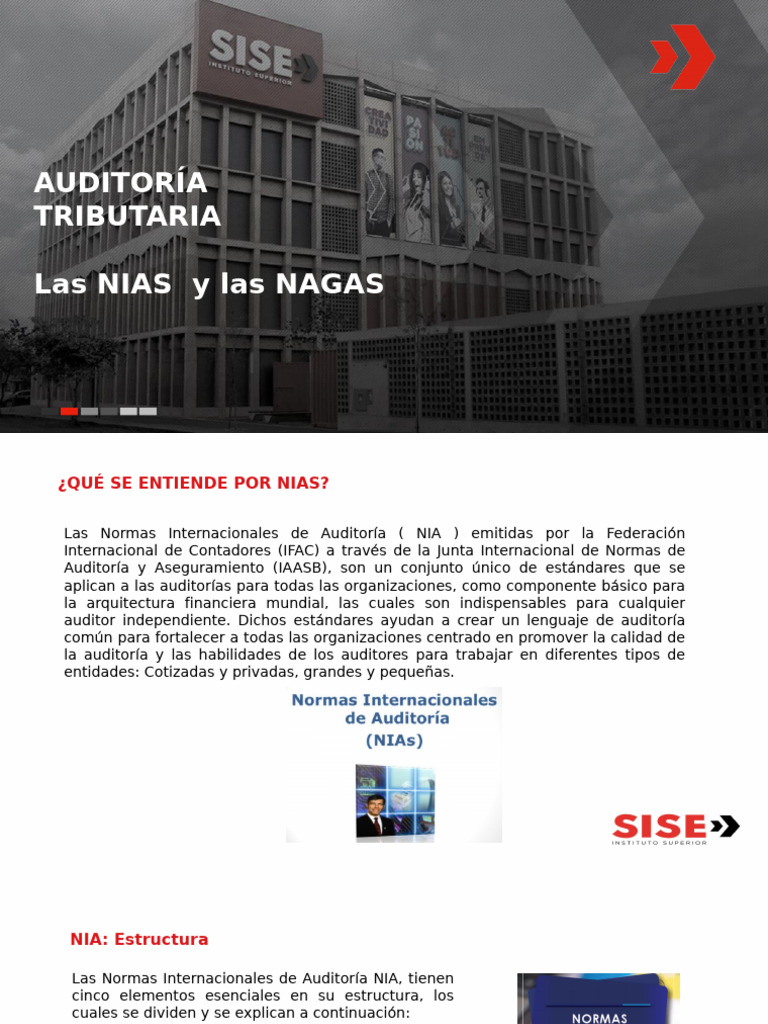 Normas de Auditoría: NIA y NAGAS | PDF | Auditoría | Contralor