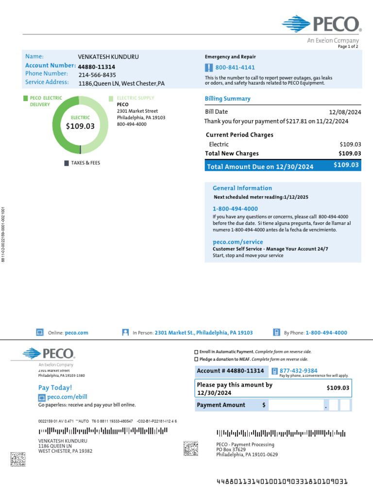 PECO Electric Bill Summary and Payment Guide | PDF | Payments