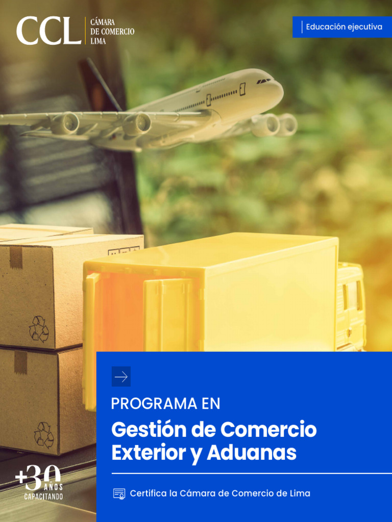 Programa de Comercio Exterior y Aduanas | PDF | aduana | Logística