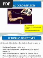 Reflex Grading Scale and Interpretation | PDF