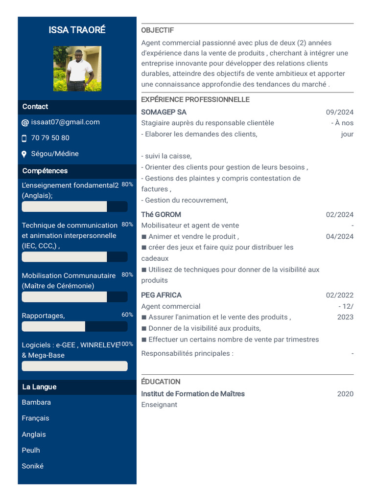 CV Agent Commercial Expérimenté | PDF
