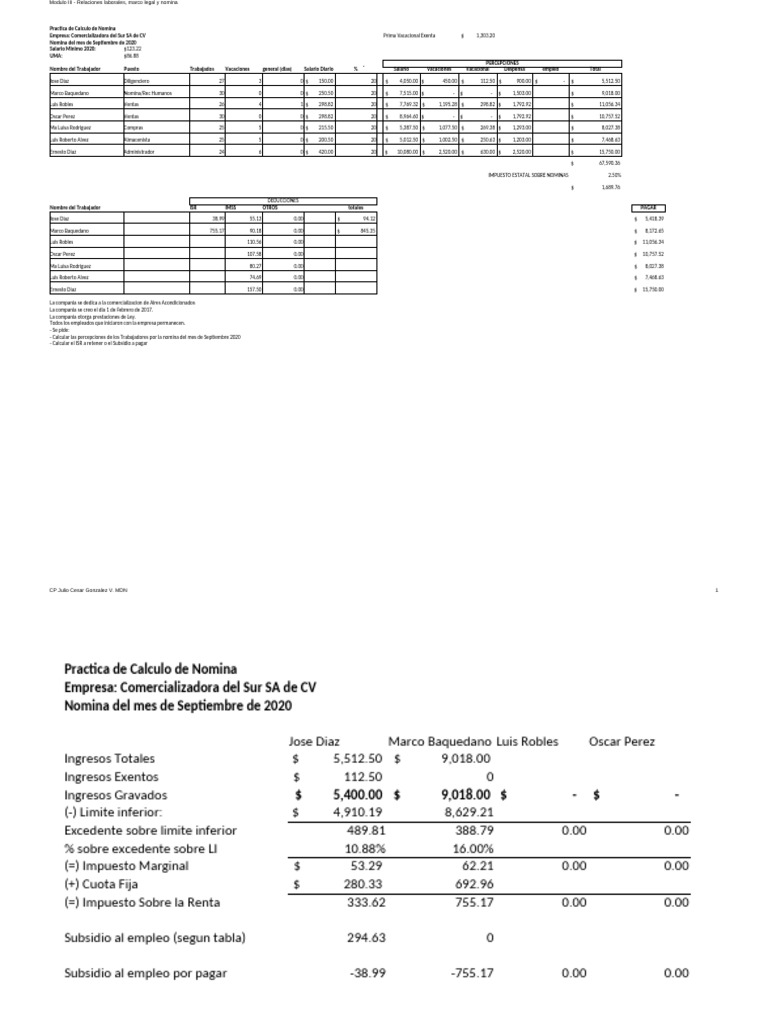 Ejemplo de Nómina con Subsidio 2020 | PDF | Pagos | Ingresos