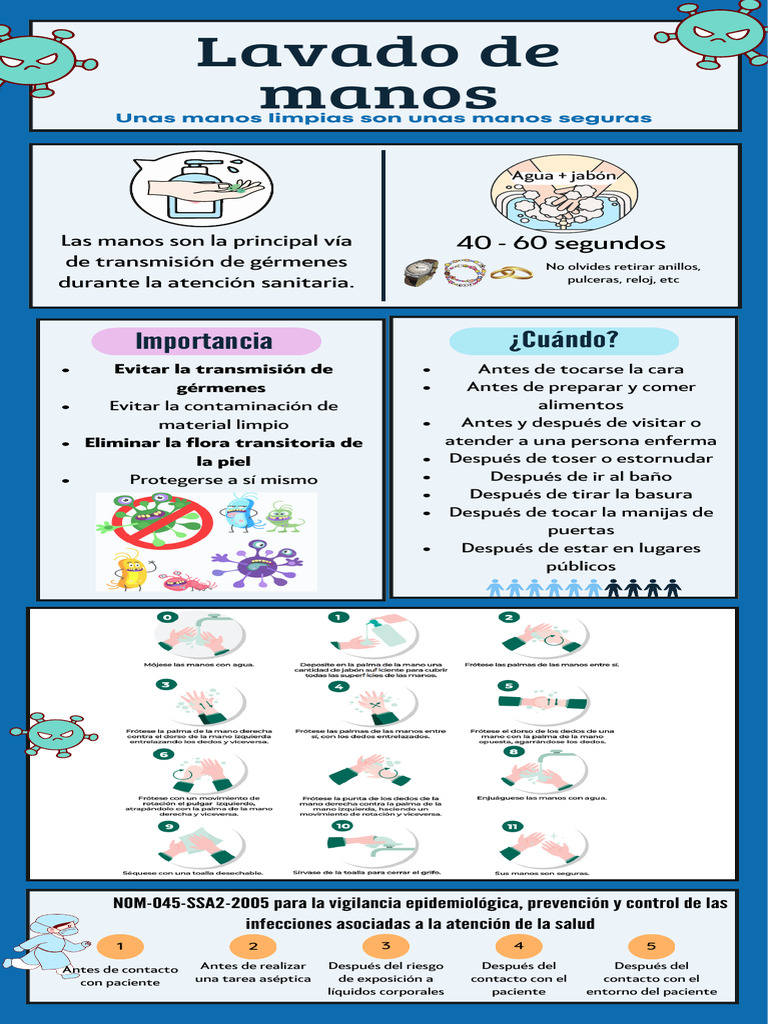 Importancia del Lavado de Manos en Salud | PDF