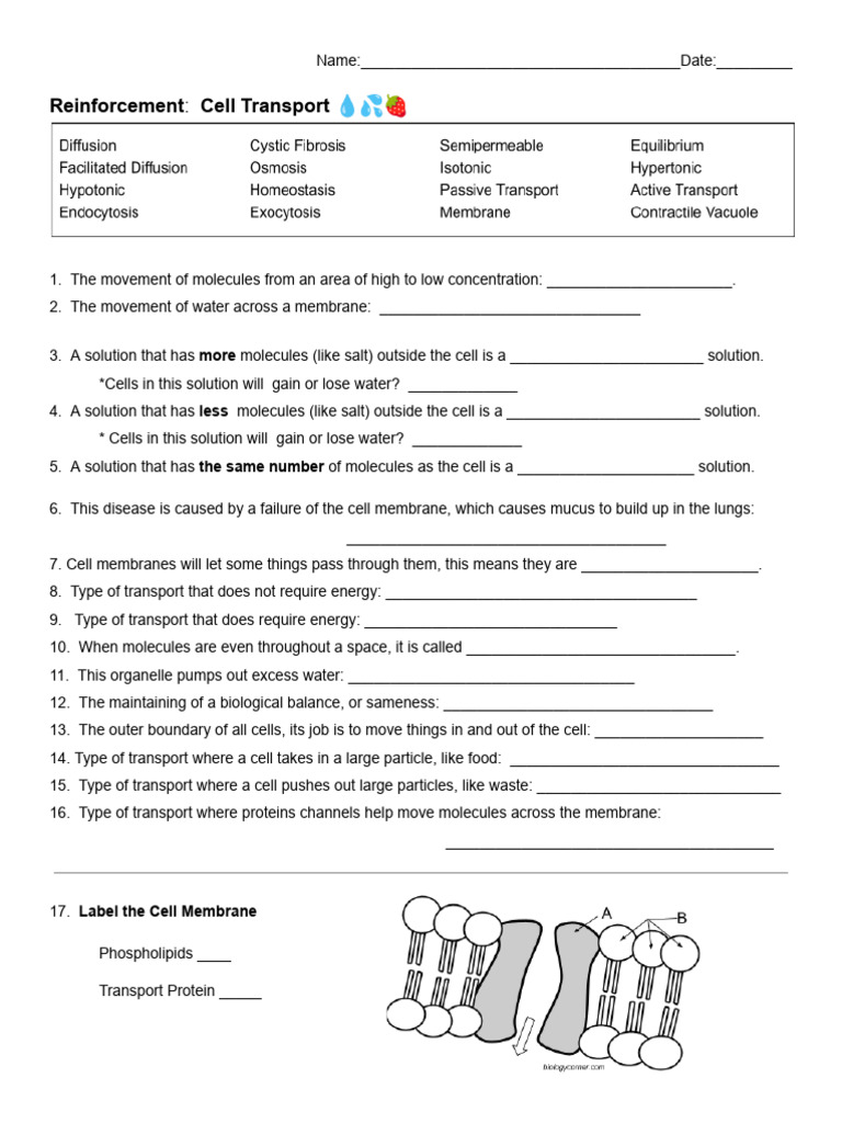 Reinforcement Cell Transport PDF