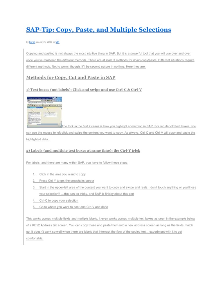 Sap | PDF | Microsoft Excel | Digital Technology