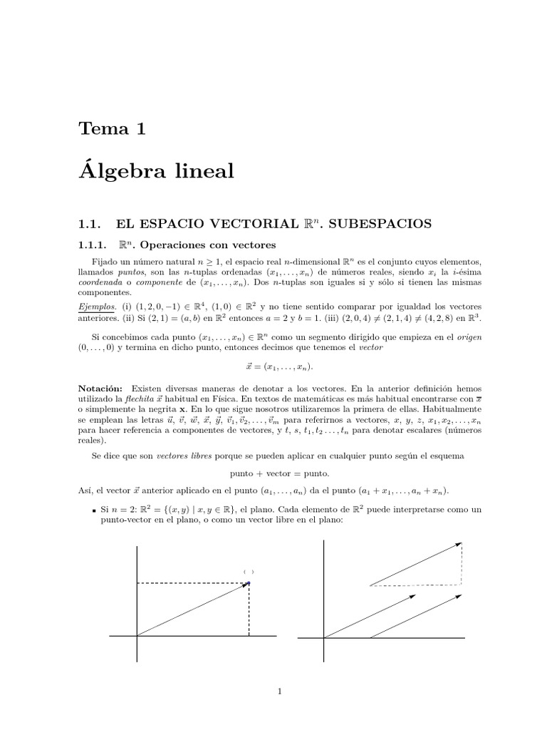 Álgebra Lineal: Tema 1 | PDF | Espacio vectorial | Base (álgebra lineal)