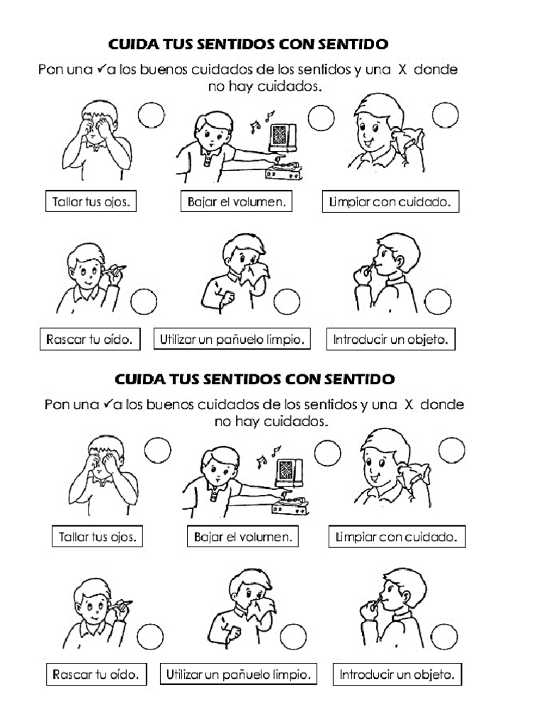 Ficha Cyt Cuida Tus Sentidos | PDF