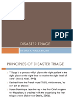 Disaster Triage