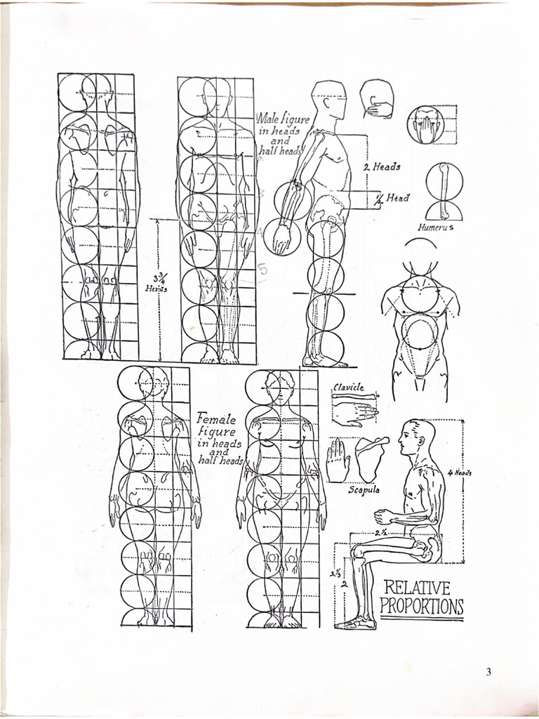 Anatomy of Drawing | PDF