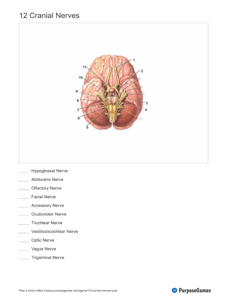 Worksheet | PDF