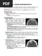Protocolo de Atendimento a TCE 2025 | PDF | Traumatismo craniano ...