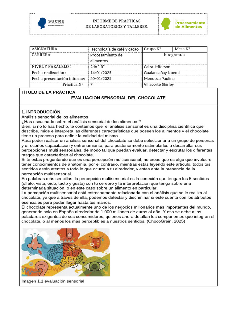Cata de Chocolate Infoo | PDF | Chocolate | Sentidos