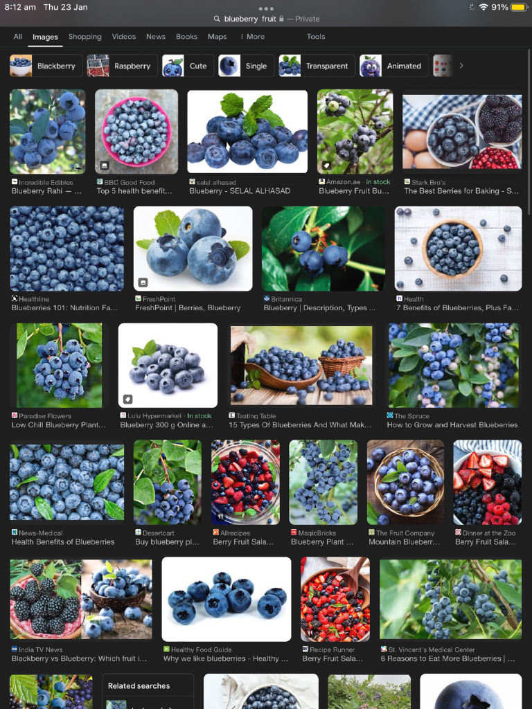 Blueberry | PDF
