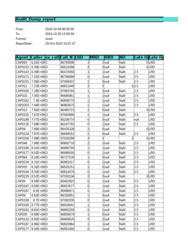 Audit Dump Report Summary 2024 | PDF