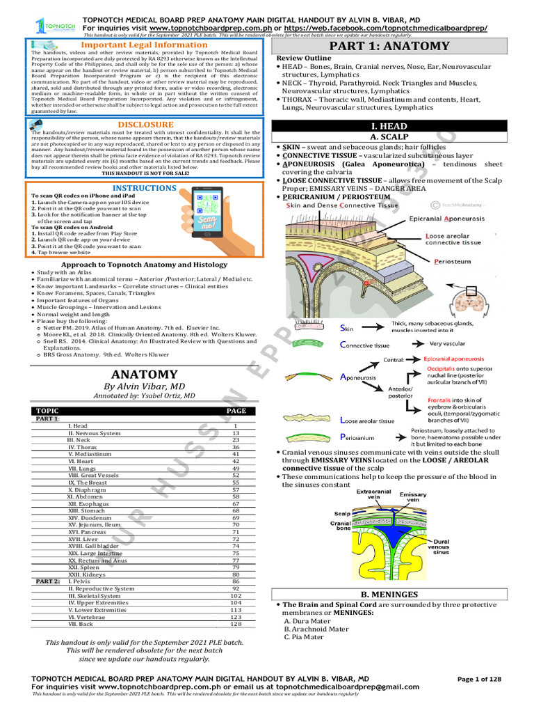 Anatomy Review Handout for PLE 2021 | PDF | Human Nose | Skull