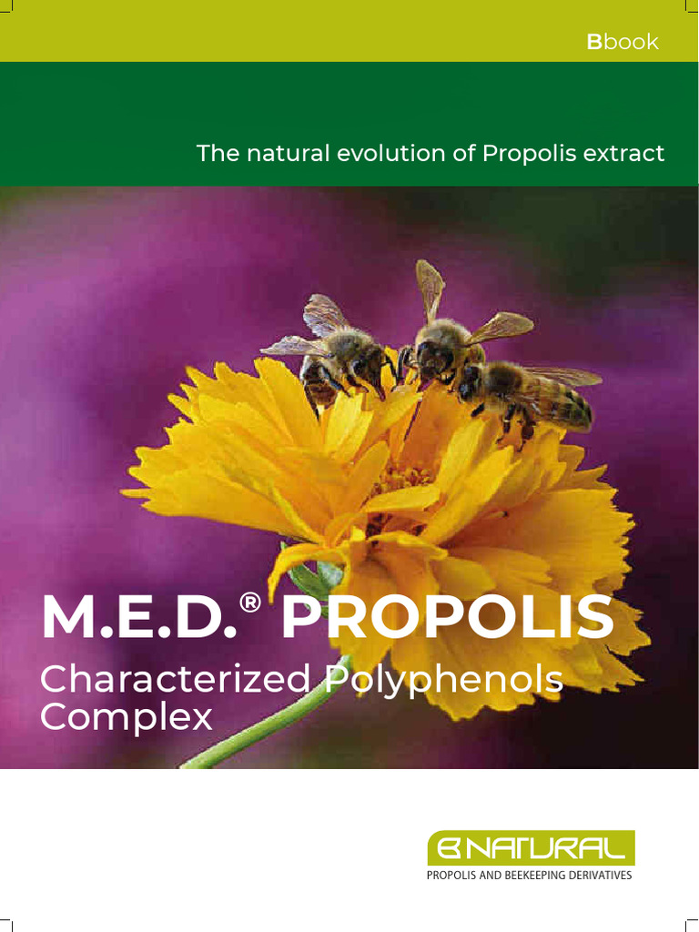 Propolis Bbook | PDF | Gastrointestinal Tract | Beehive