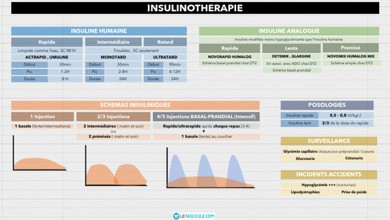 guide-sur-l-insulinoth-rapie-et-posologies-pdf-insuline-hypoglyc-mie