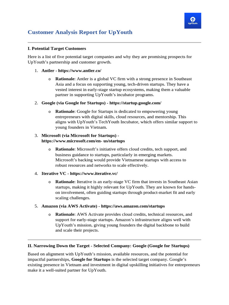 UpYouth Customer Analysis for Google | PDF | Startup Company | Small ...