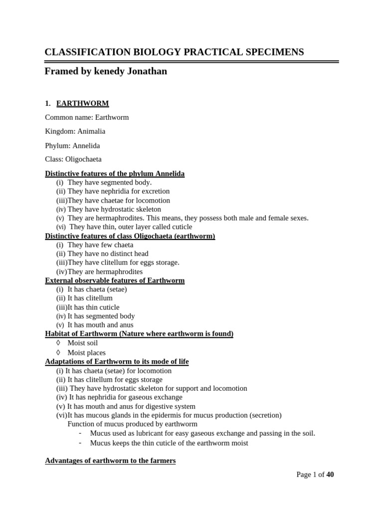 Biology Classification Practical Guide | PDF | Moss | Leaf